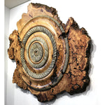 "Willow Burlwood"-Dave Barkby-Renee Taylor Gallery