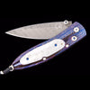 Monarch Halley Limited Edition - B05 HALLEY-William Henry-Renee Taylor Gallery