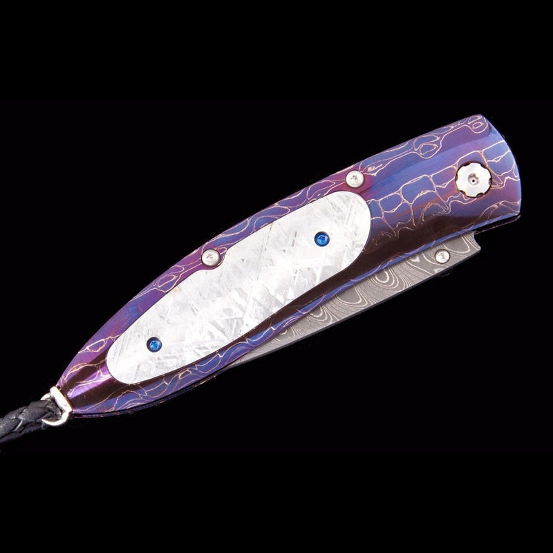 Monarch Halley Limited Edition - B05 HALLEY-William Henry-Renee Taylor Gallery