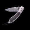 Kestrel Blaze Limited Edition - B09 BLAZE-William Henry-Renee Taylor Gallery