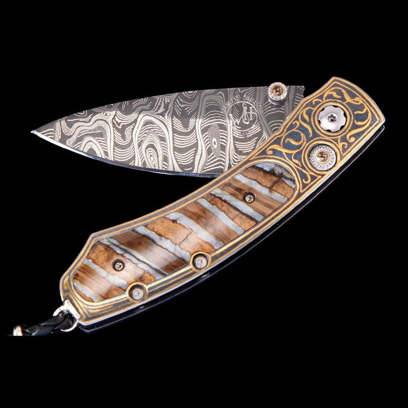 Kestrel 'Destiny' Limited Edition - B09 DESTINY-William Henry-Renee Taylor Gallery