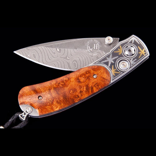 Kestrel Starburst Limited Edition - B09 STARBURST-William Henry-Renee Taylor Gallery