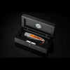 Lancet Beech Limited Edition - B10 BEECH-William Henry-Renee Taylor Gallery