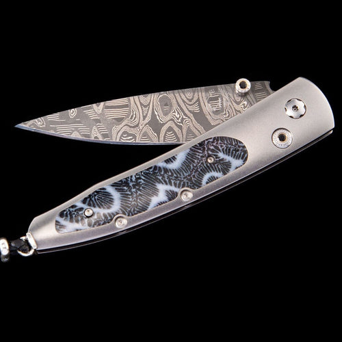 Lancet Black Cove Limited Edition - B10 BLACK COVE-William Henry-Renee Taylor Gallery