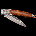 Lancet Free Flight Limited Edition - B10 FREE FLIGHT-William Henry-Renee Taylor Gallery