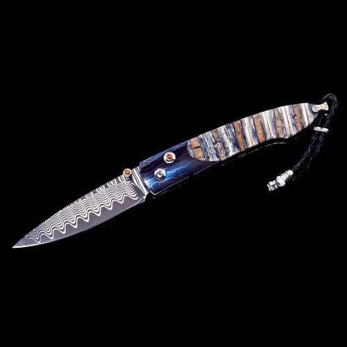 Lancet Tetrapod Limited Edition - B10 TETRAPOD-William Henry-Renee Taylor Gallery