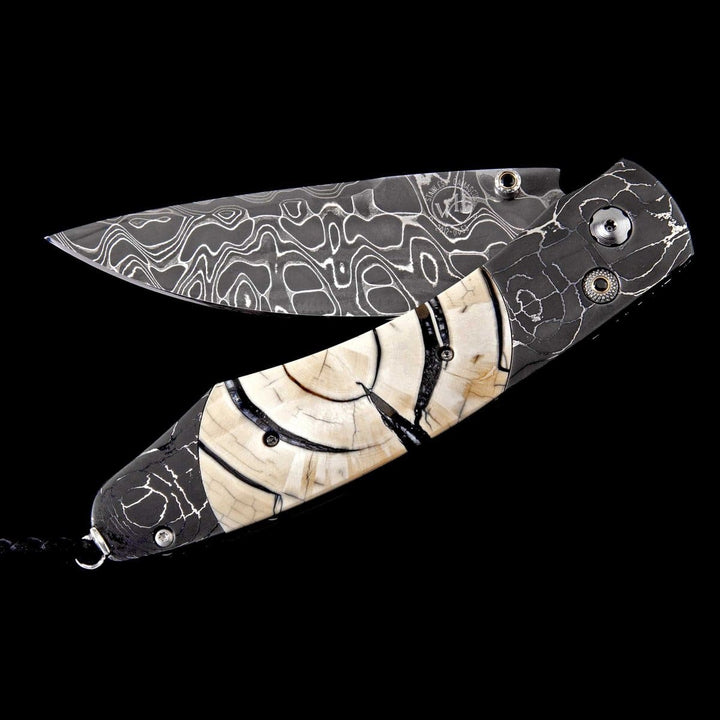 Spearpoint Adventure Limited Edition - B12 ADVENTURE-William Henry-Renee Taylor Gallery