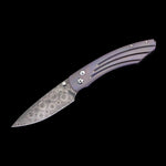 Spearpoint Hidden Limited Edition Knife - B12 HIDDEN-William Henry-Renee Taylor Gallery