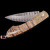 Spearpoint Pampas Limited Edition - B12 PAMPAS-William Henry-Renee Taylor Gallery