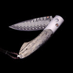 Gentac TMW Limited Edition - B30 TMW-William Henry-Renee Taylor Gallery
