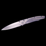 Gentac Saturn Limited Edition - B30 SATURN-William Henry-Renee Taylor Gallery