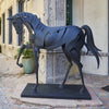 "Black Stallion"-Mark Carroll-Renee Taylor Gallery