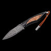 Raven Fixed Blade Burl Knife - F28 BURL-William Henry-Renee Taylor Gallery