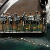 "I Think They're All Looney In Here!"-Rick Stewart-Renee Taylor Gallery