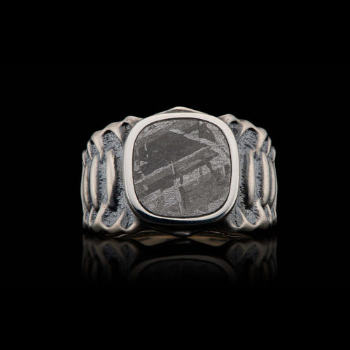 Men's Echelon Meteorite Ring - Ring 7 MET-William Henry-Renee Taylor Gallery