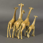 "Small Alert Giraffes"-Loet Vanderveen-Renee Taylor Gallery